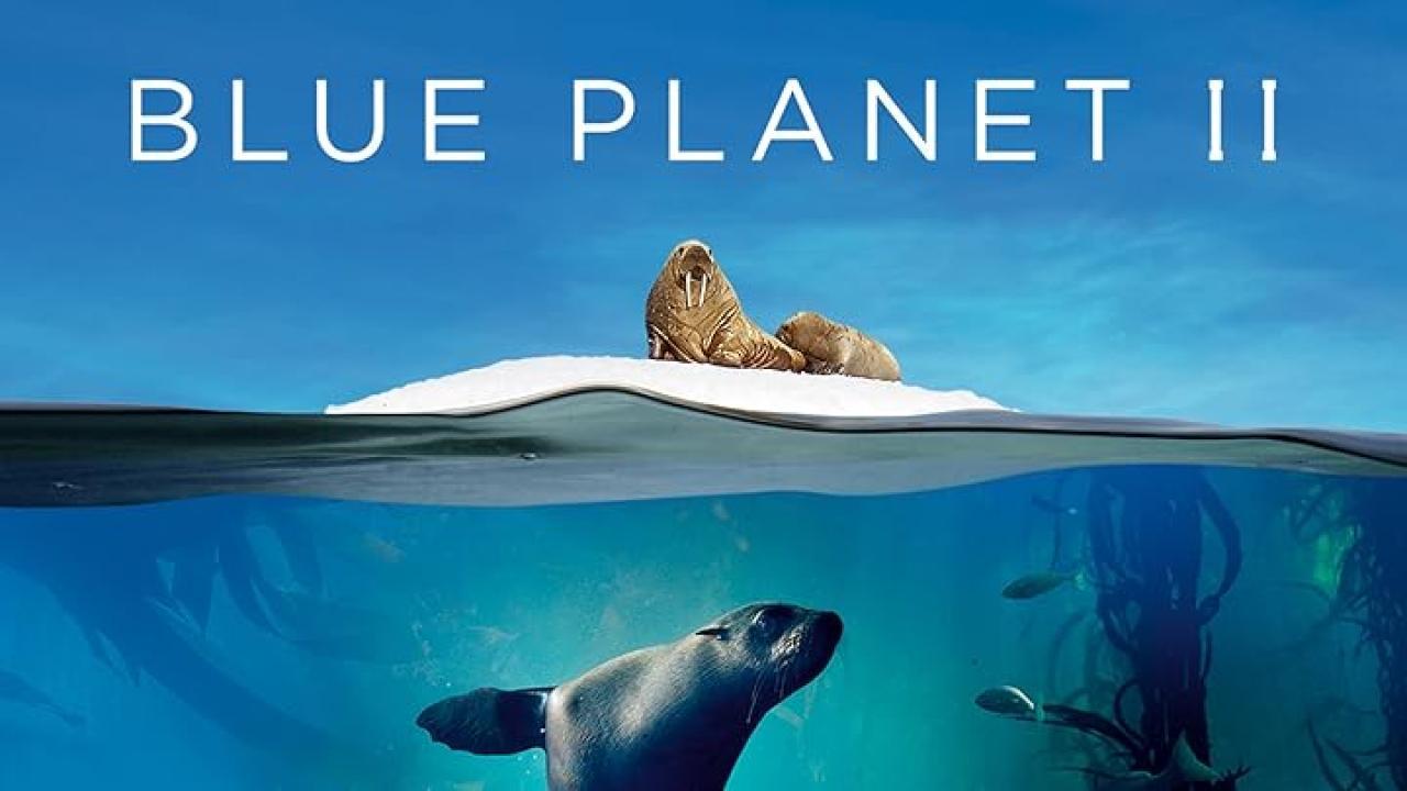 مسلسل Blue Planet II الموسم الاول الحلقة 6 السادسة مترجمة