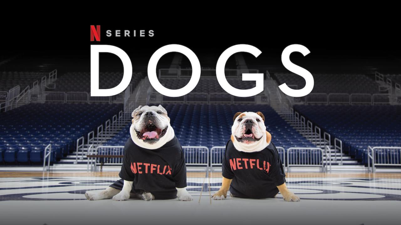 مسلسل Dogs الموسم الثاني الحلقة 3 الثالثة مترجمة