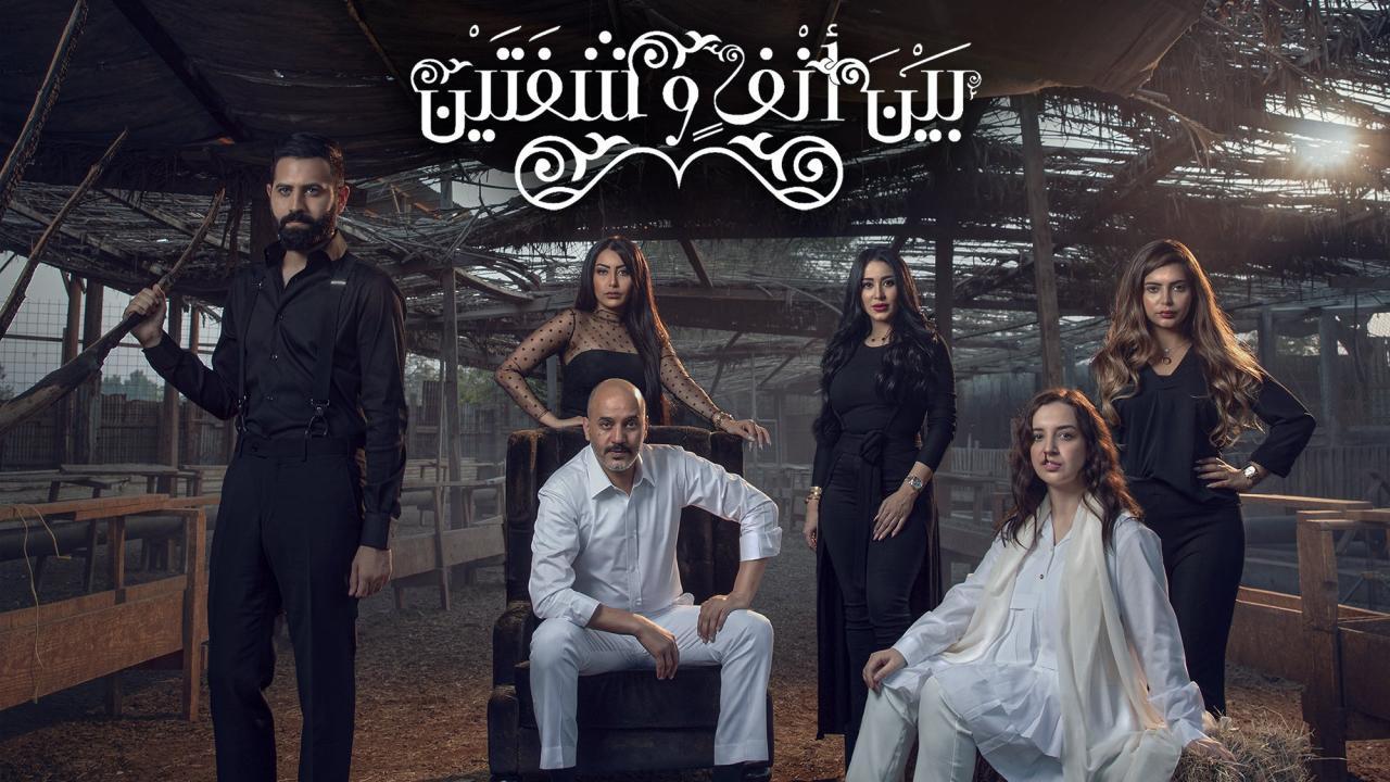 مسلسل بين انف وشفتين الحلقة 3 الثالثة